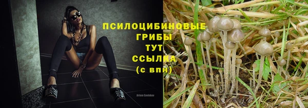 метадон Кинешма