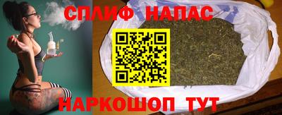 стафф Гусев