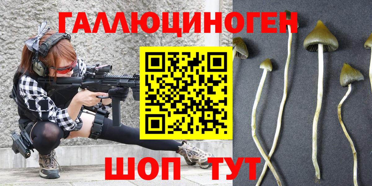 наркошоп  Псилоцибиновые грибы Psilocybe  Вход с VPN  Лангепас 