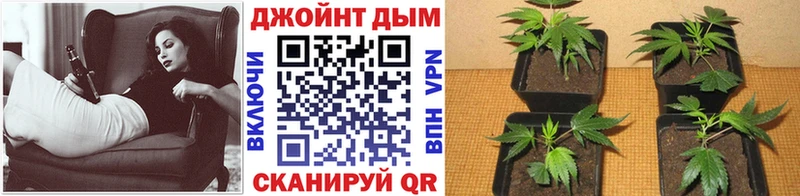 как найти   Лангепас  Бошки Шишки SATIVA & INDICA 